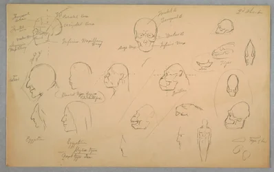 Anatomical Studies, 1865–70
