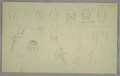 Anatomical Studies, 1865–70