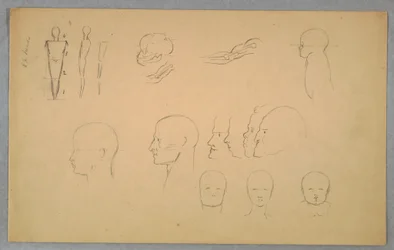 Anatomical Studies, 1865–70