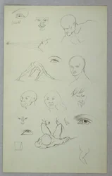 Anatomical Studies, 1865–70