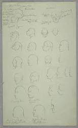 Anatomical Studies, 1865–70
