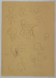 Anatomical Studies, 1865–70