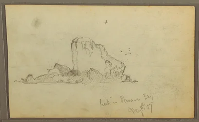 Birds, "Rock in Panama Bay"; Verso: "Heavy Vines", May 15, 1857