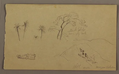 Botanical Sketches, Figure, May–August 1865