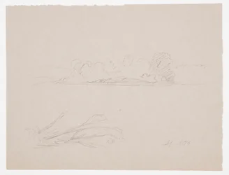 Botanical Sketches: Landscape, Trees at a Shore, September 1876