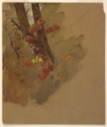 Botanical Studies, 1860–70