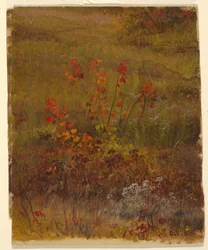 Botanical Studies, October 1865