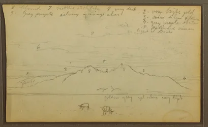Cows in Landscape; Verso: Bamboo, 1857