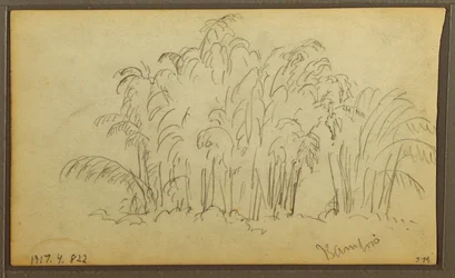 Cows in Landscape; Verso: Bamboo