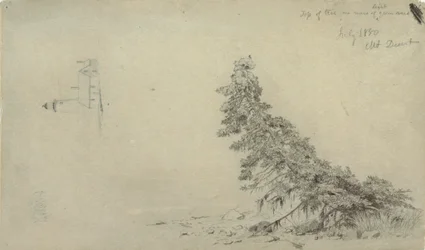 Evergreen Tree Near the Shore with a Detail of the Lighthouse and a House, Mount Desert, Maine, July 1850