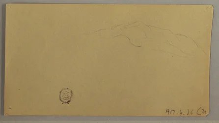 Flowering Plants, ca. 1856