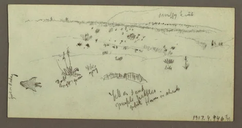 Hill, Shrubbery, Figure, Camel Studies, possibly 1868
