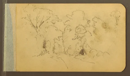 Hill and Mountain Ranges; Road in the Woods, 1889