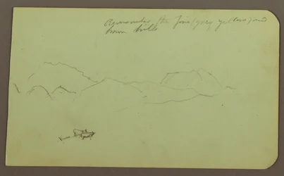 Hills, Cattle; Landscape, 1883