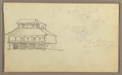 House, Botanical Sketch, Ecuador or Colombia, 1857