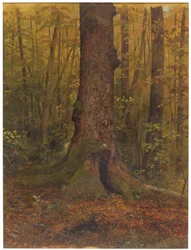 In the Woods, Probably Maine, 1850–60