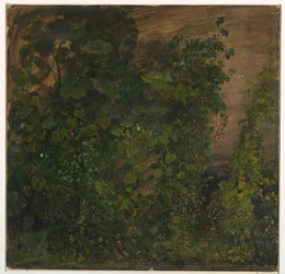 Drawing, Jungle Vegetation, 1865