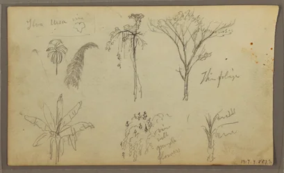 Landscape, Guayaquil, Ecuador, May 21, 1857