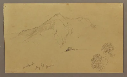 Landscape, plants, Bloxburgh, August 1865