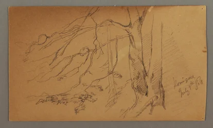 Lower half of Tree, July 9, 1868