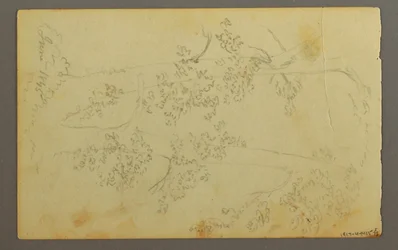Mill Surrounded by Trees, 1845