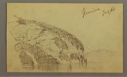 Mountainside, July 1868