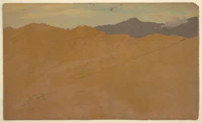 Palm Trees and Housetops, Ecuador, May 1857