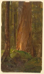 Study in the Maine Woods, 1855–65