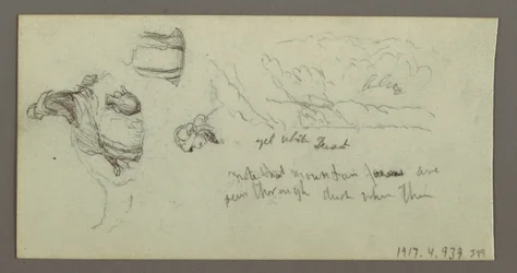 Study of Camel