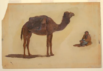 Study of a dromedary, 1868