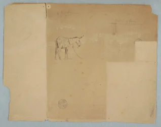 Tethered Donkey and a Style of Fence, South America, 1853