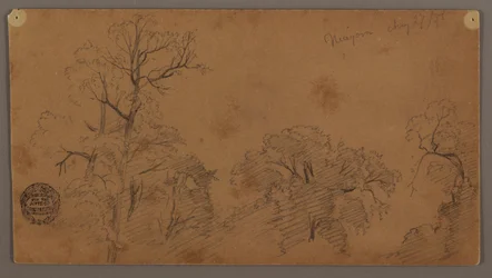 Tree Tops, Niagara, August 27, 1856