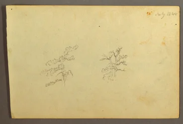 Trees, July 1844