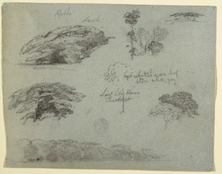 Trees, Tree Tops, and a Wooded Bank, Saddleback, Maine, 1853
