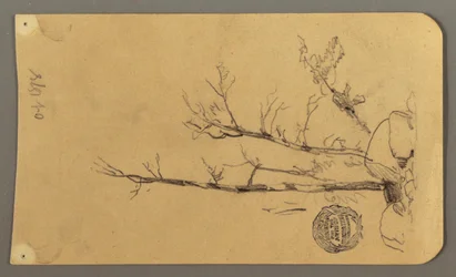Trees, Boulders, 1878