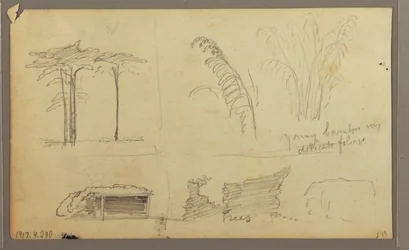 Views of the East Bank of the Guayas River, opposite Guayaquil, Ecuador, May 1857