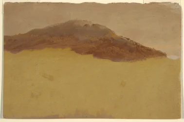 Wooded hillside, 1870–80