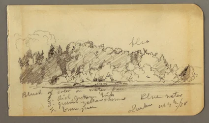 Wooded Shore, Water, 1878