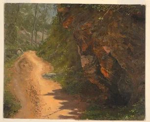 Woodland Path, Jamaica, June 1865