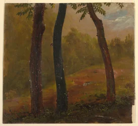 Woodland Scene, Jamaica, 1865