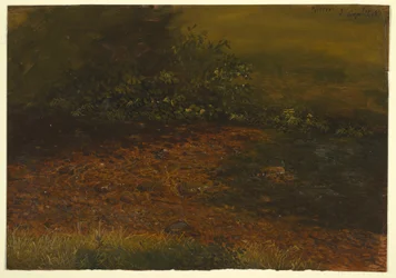 Woodland Stream in the Catskills, September 1848