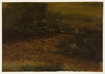 Woodland Stream in the Catskills, September 1848