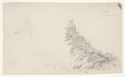 Evergreen Tree Near the Shore with a Detail of the Lighthouse and a House, Mount Desert, Maine