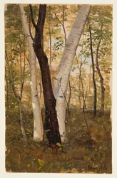 In the Woods, Hudson, New York