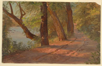 Landscape from North America (Road by a Lake)