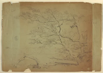 Landscape with Trees and a Stream, Grand Manan Island, Canada