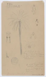 Sketches from Jamaica, West Indies
