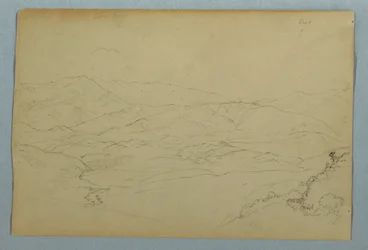 Sketches of Plants and of Part of the Balustrade Bordering the Terrace at the Inn at Guaranda, Ecuador