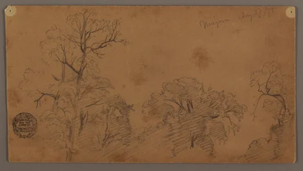 Tree Tops, Niagara