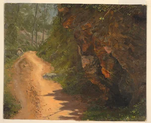 Woodland Path, Jamaica
